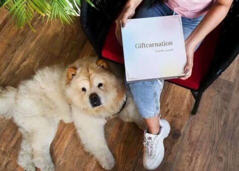 gift carnation-gifting-solution