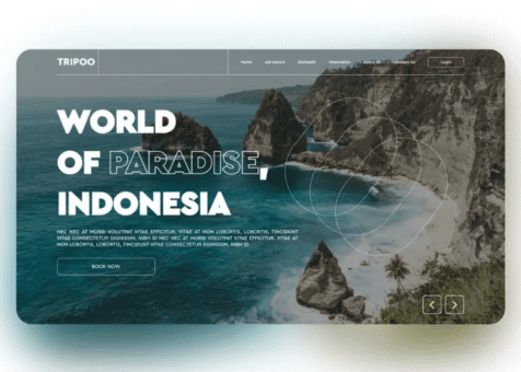 website-design-by-wolfx