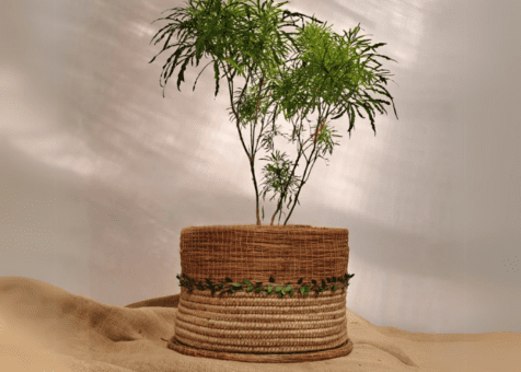 Foliage Planters by pirul