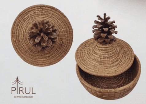 Pine cone box by pirul